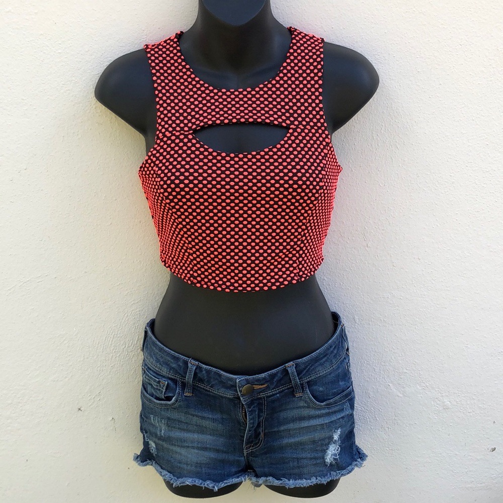 🔶 Iris Los Angeles Crop Top with Zipper Back